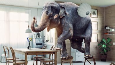 Um mundo imaginário feito por um artista digital da Rússia (19 fotos) 50