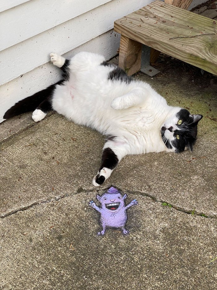 A arte do giz: A combinação perfeita feita por David Zinn (41 fotos) 6