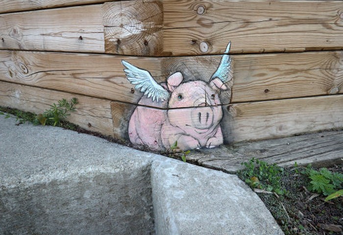 A arte do giz: A combinação perfeita feita por David Zinn (41 fotos) 19