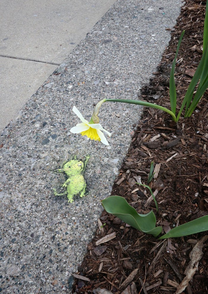 A arte do giz: A combinação perfeita feita por David Zinn (41 fotos) 32