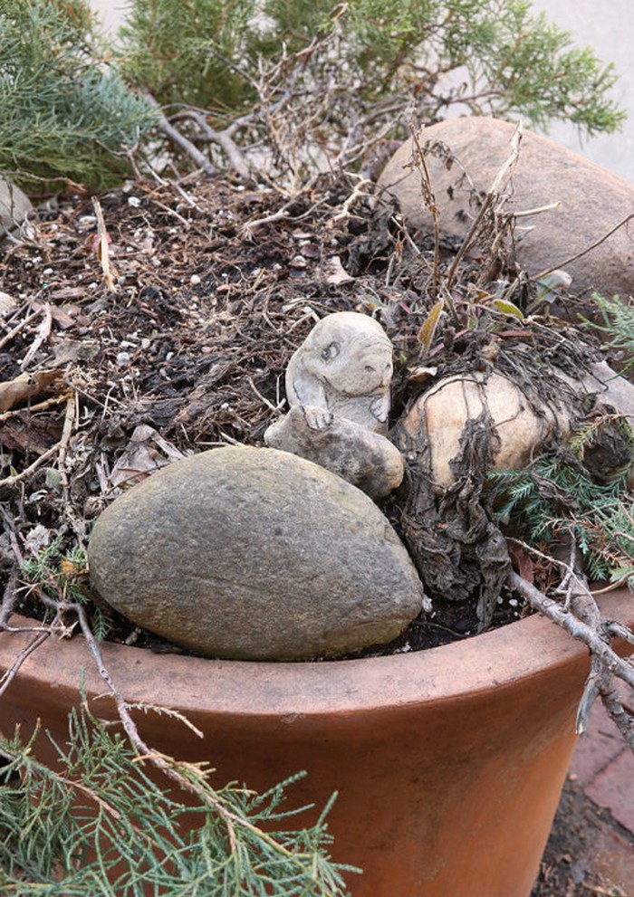 A arte do giz: A combinação perfeita feita por David Zinn (41 fotos) 34