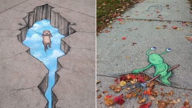A arte do giz: A combinação perfeita feita por David Zinn (41 fotos) 52
