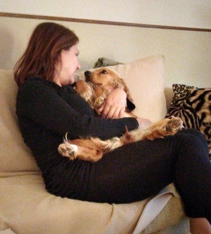 18 animais de estimação que sempre apoia seus donos 17