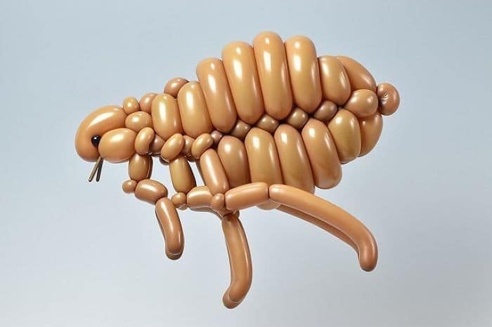 34 criaturas de balões coloridos do artista japonês Masayoshi Matsumoto 11