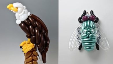 34 criaturas de balões coloridos do artista japonês Masayoshi Matsumoto 39