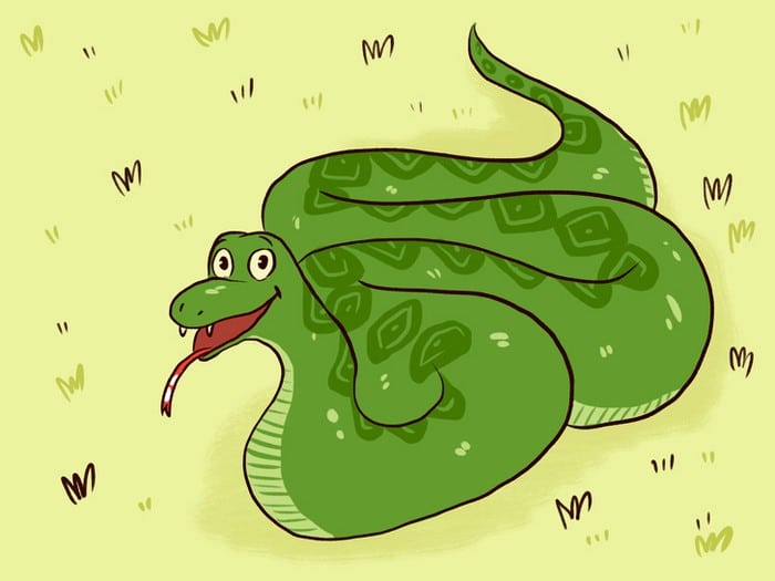 15 expressões portuguesas que os brasileiros poderiam adotar 6