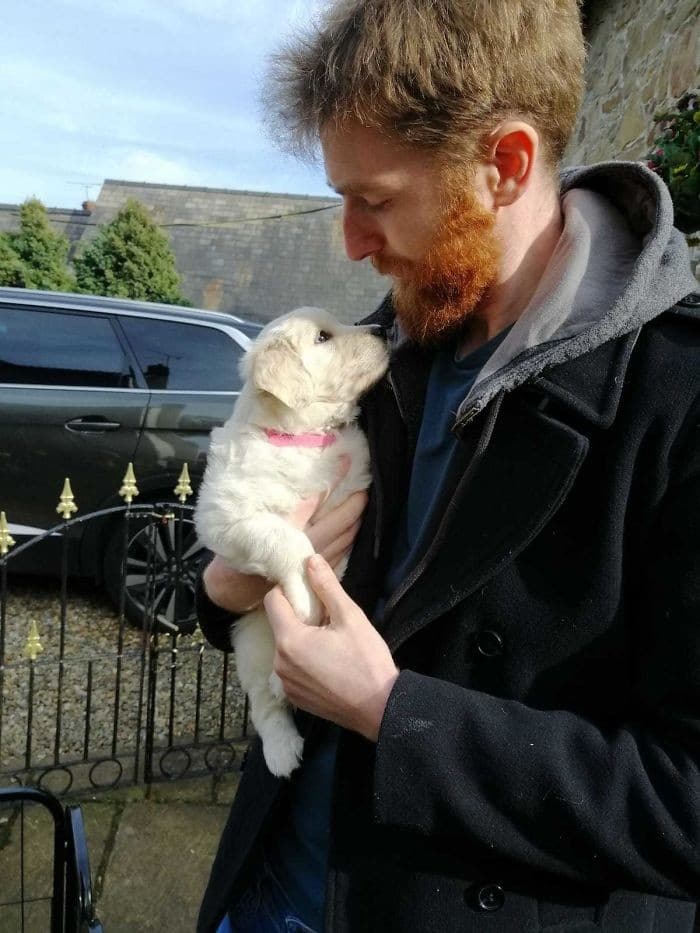 32 fotos abençoadas de animais de estimação olhando para seus donos 3