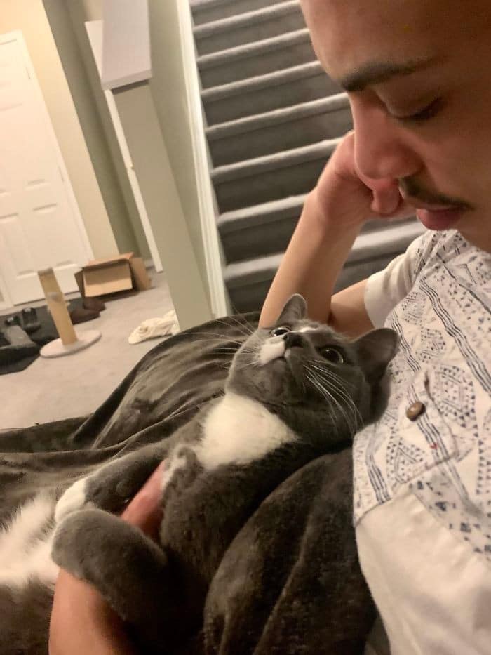 32 fotos abençoadas de animais de estimação olhando para seus donos 5