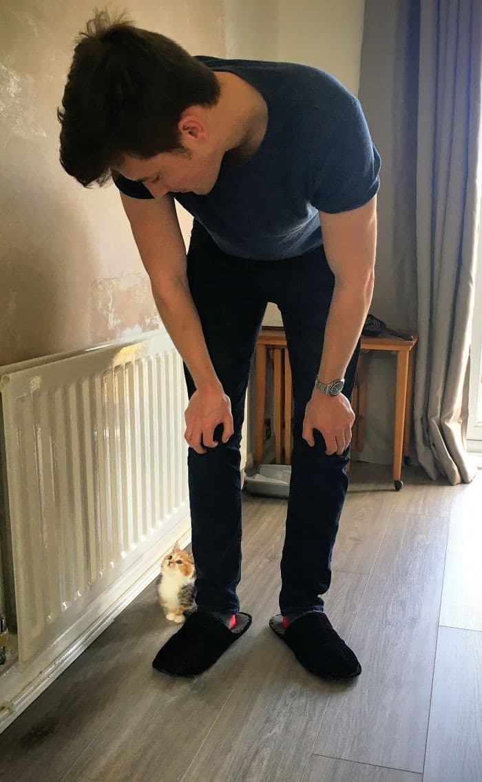 32 fotos abençoadas de animais de estimação olhando para seus donos 18