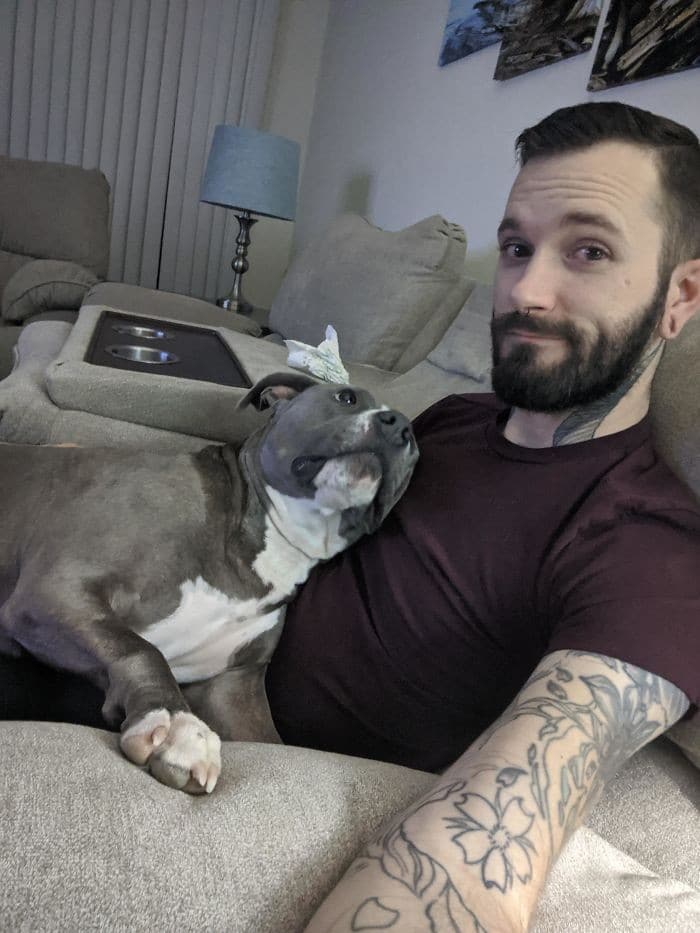 32 fotos abençoadas de animais de estimação olhando para seus donos 22