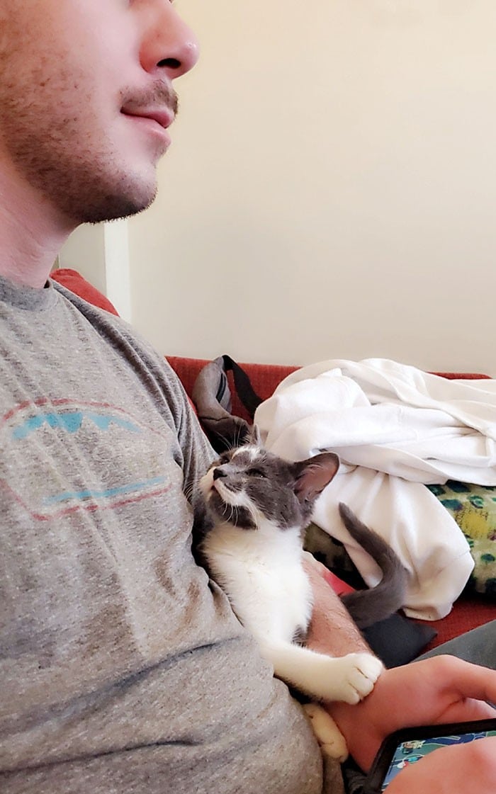 32 fotos abençoadas de animais de estimação olhando para seus donos 24