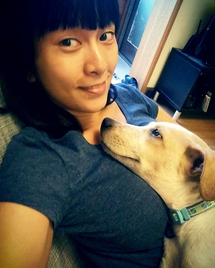 32 fotos abençoadas de animais de estimação olhando para seus donos 27