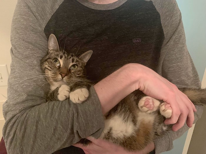 32 fotos abençoadas de animais de estimação olhando para seus donos 28