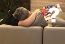 20 fotos que tivemos que olhar duas vezes para entender 48