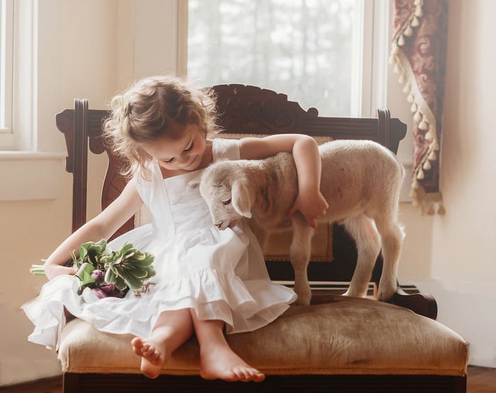 32 momentos mais inocentes da crianças com animais 2