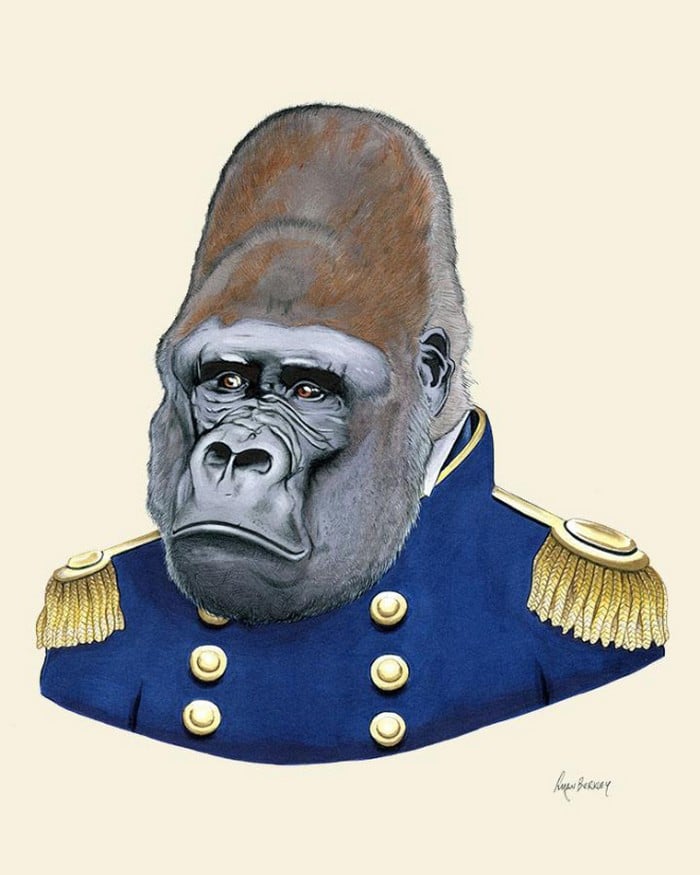 20 retratos de animais muito bem vestidos por Ryan Berkley 4