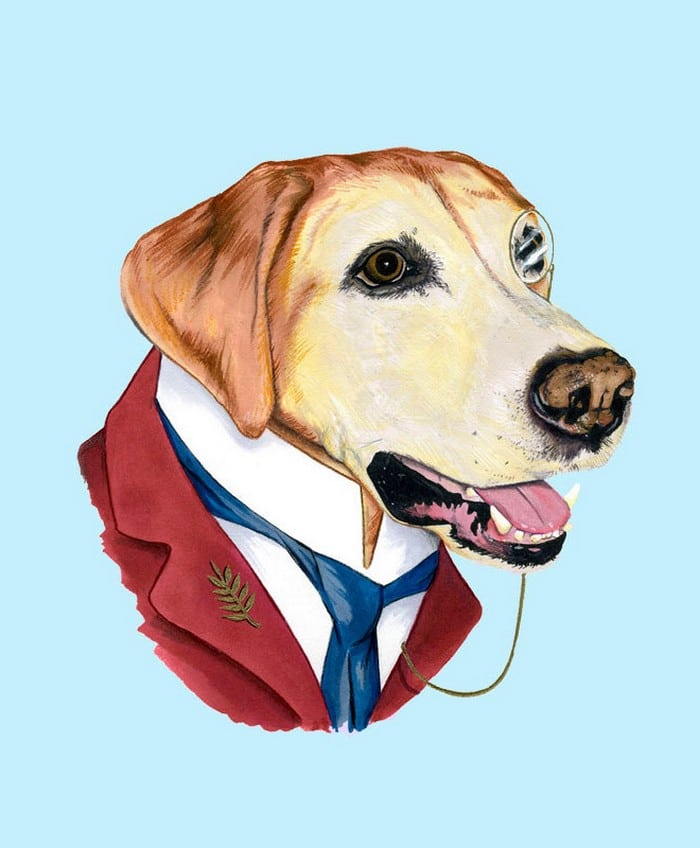 20 retratos de animais muito bem vestidos por Ryan Berkley 6