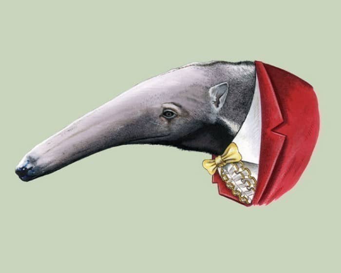 20 retratos de animais muito bem vestidos por Ryan Berkley 8