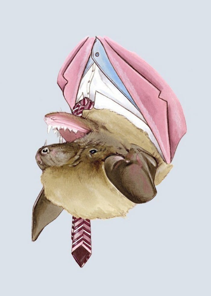 20 retratos de animais muito bem vestidos por Ryan Berkley 10