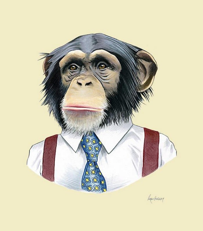 20 retratos de animais muito bem vestidos por Ryan Berkley 15