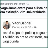 Tudo culpa do Pollo