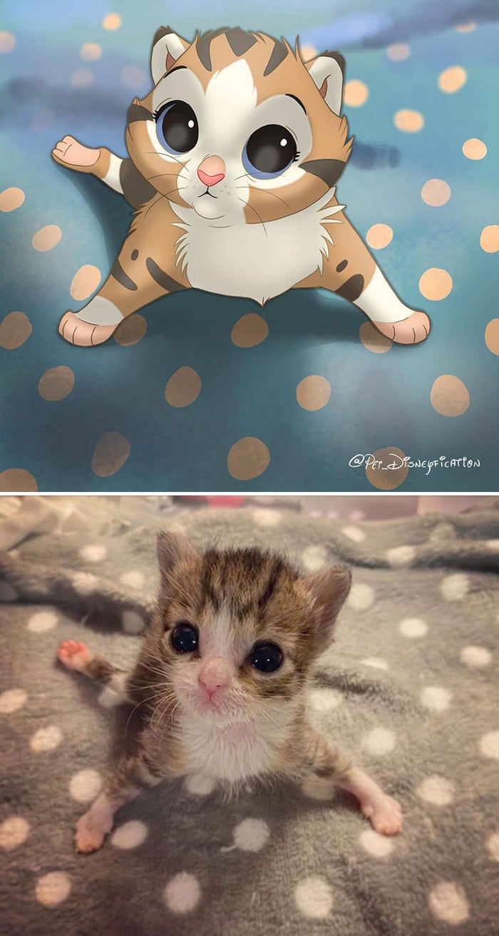 Ilustrador transforma fotos de animais de estimação em criações mágicas no estilo Disney (18 fotos) 1 Ilustrador transforma fotos de animais de estimação em criações mágicas no estilo Disney (18 fotos) 1