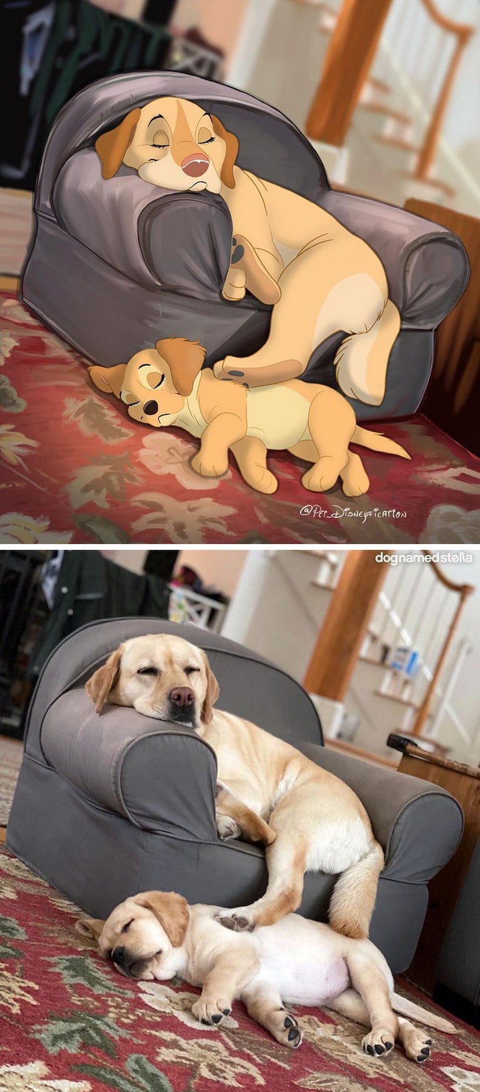 Ilustrador transforma fotos de animais de estimação em criações mágicas no estilo Disney (18 fotos) 14