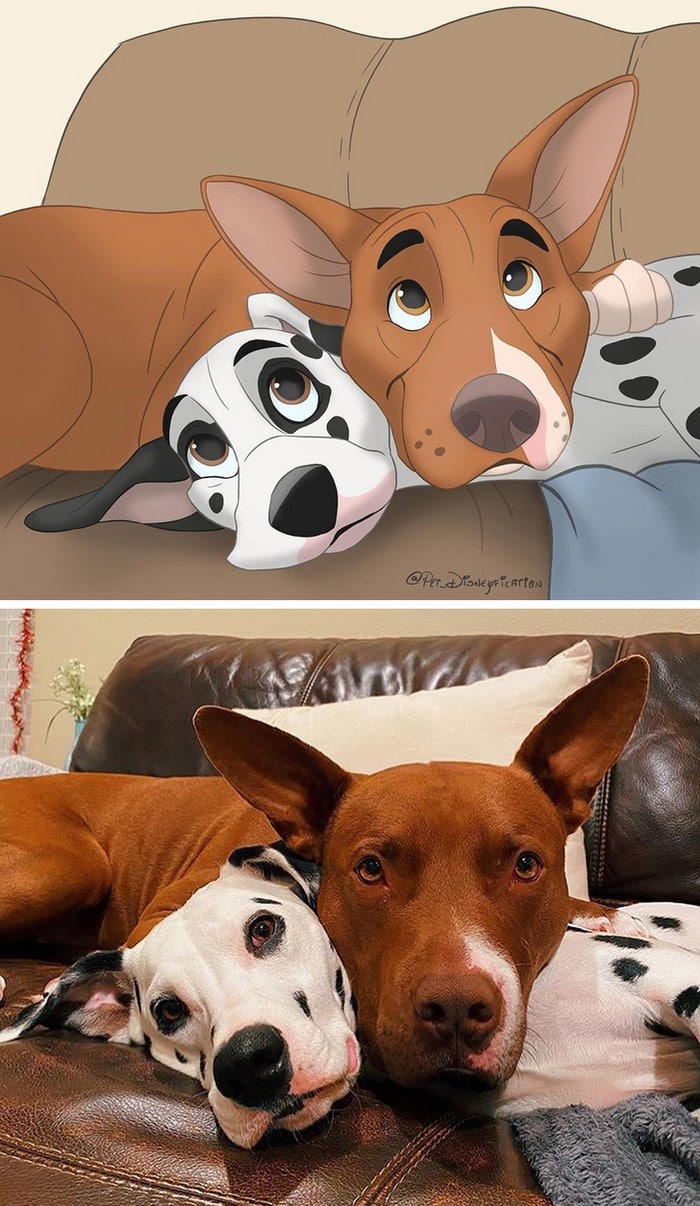 Ilustrador transforma fotos de animais de estimação em criações mágicas no estilo Disney (18 fotos) 17