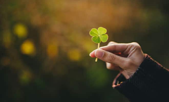 Simpatia Para Ter Sorte Tediado simpatia-para-ter-sorte-tediado