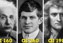 A história do William Sidis o homem mais inteligente do mundo 19