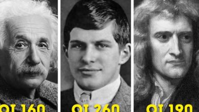 A história do William Sidis o homem mais inteligente do mundo 7