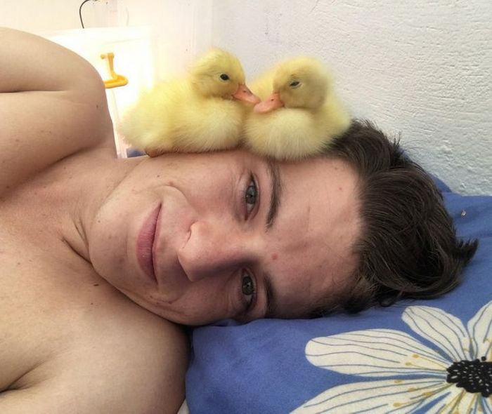 21 animais de estimação que presentearam seus donos com a melhor coisa do mundo, amor incondicional 4