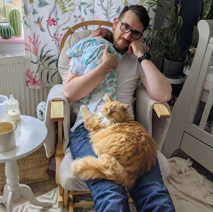 21 animais de estimação que presentearam seus donos com a melhor coisa do mundo, amor incondicional 11