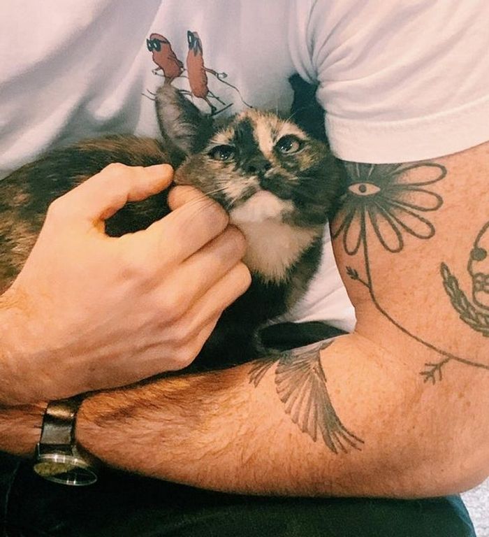 21 animais de estimação que presentearam seus donos com a melhor coisa do mundo, amor incondicional 17