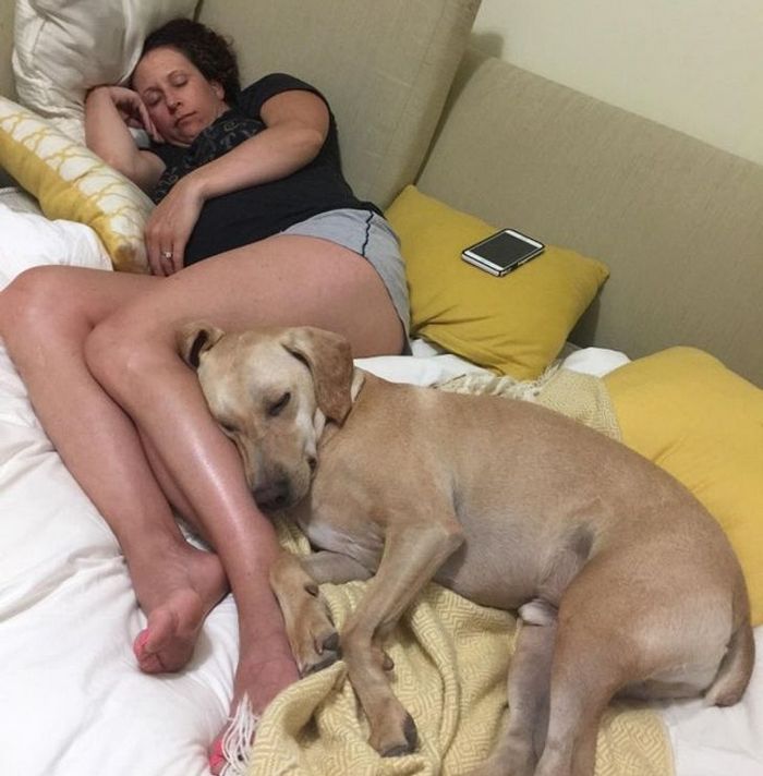 21 animais de estimação que presentearam seus donos com a melhor coisa do mundo, amor incondicional 18