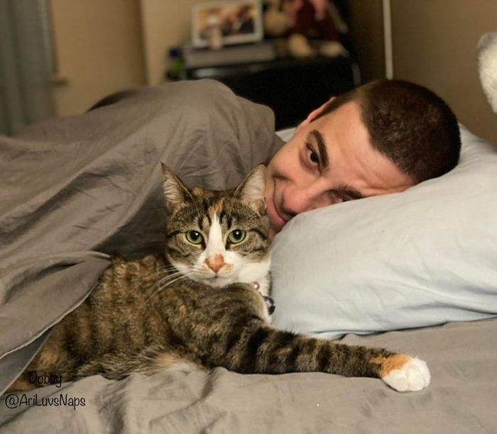 21 animais de estimação que presentearam seus donos com a melhor coisa do mundo, amor incondicional 19