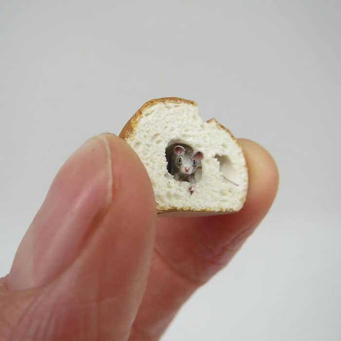 40 animais em miniatura criados pelo renomado artista Fanni Sandor 1