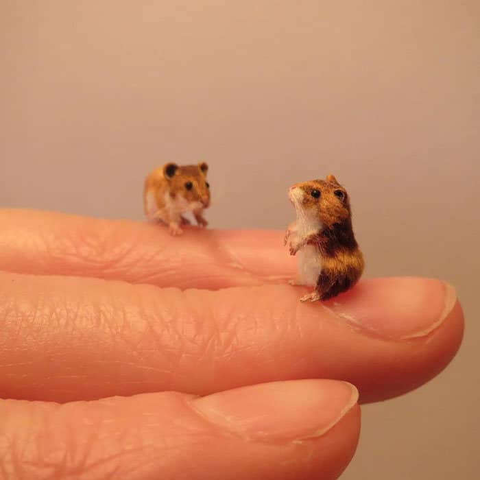 40 animais em miniatura criados pelo renomado artista Fanni Sandor 13