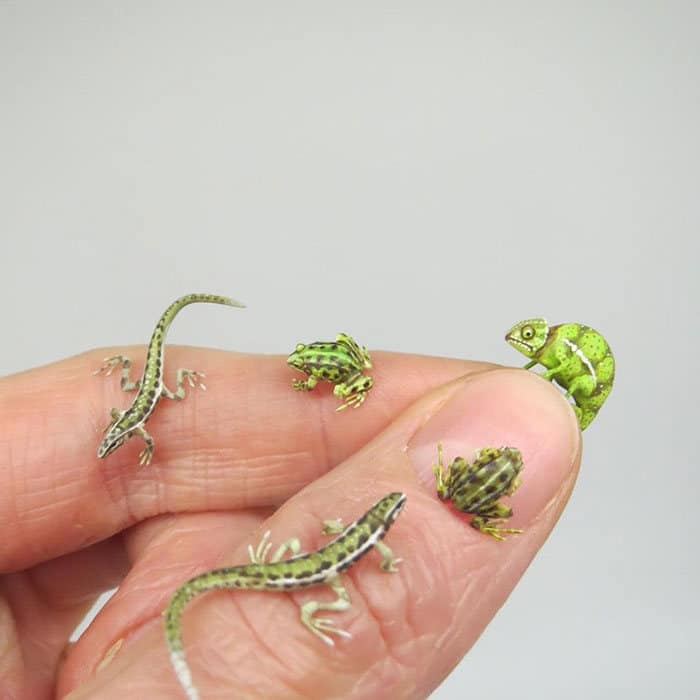 40 animais em miniatura criados pelo renomado artista Fanni Sandor 18
