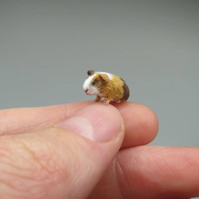 40 animais em miniatura criados pelo renomado artista Fanni Sandor 19