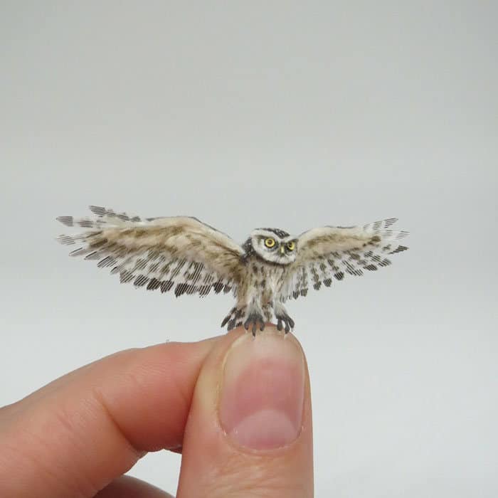 40 animais em miniatura criados pelo renomado artista Fanni Sandor 21