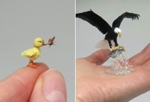 40 animais em miniatura criados pelo renomado artista Fanni Sandor 9
