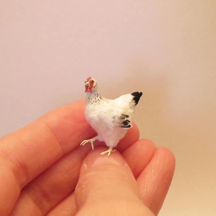 40 animais em miniatura criados pelo renomado artista Fanni Sandor 34