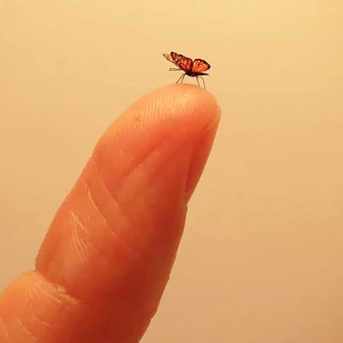 40 animais em miniatura criados pelo renomado artista Fanni Sandor 36