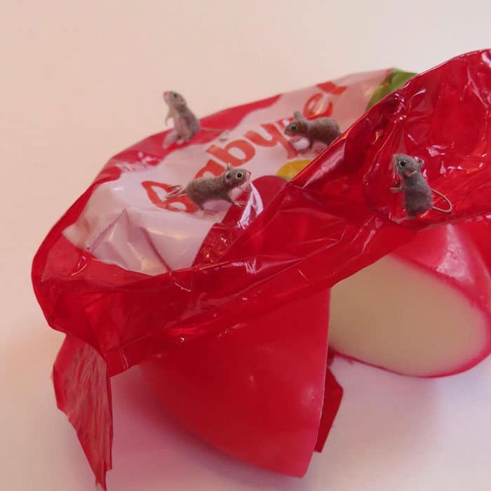 40 animais em miniatura criados pelo renomado artista Fanni Sandor 38