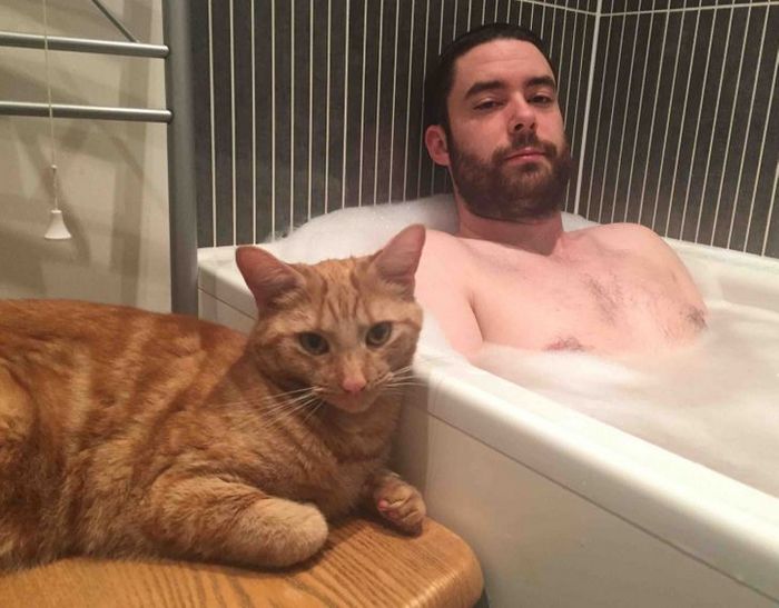 20 animais que se recusam a deixar seus seres humanos, mesmo que por um minuto 2 20 animais que se recusam a deixar seus seres humanos, mesmo que por um minuto 2