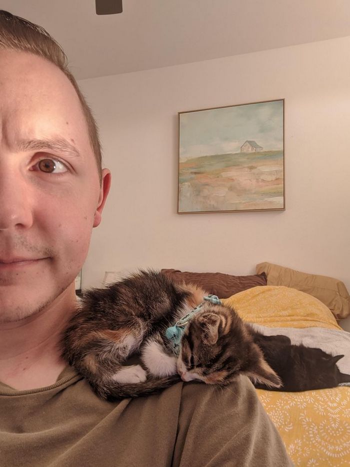 20 animais que se recusam a deixar seus seres humanos, mesmo que por um minuto 4 20 animais que se recusam a deixar seus seres humanos, mesmo que por um minuto 4
