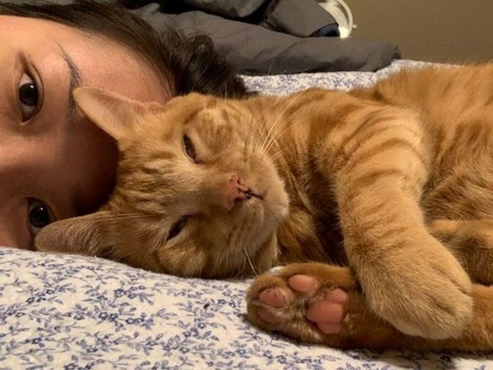 20 animais que se recusam a deixar seus seres humanos, mesmo que por um minuto 8 20 animais que se recusam a deixar seus seres humanos, mesmo que por um minuto 8