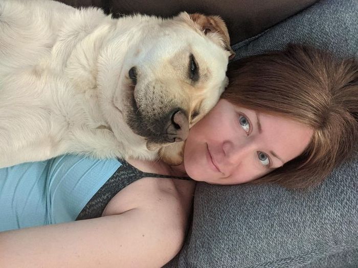 20 animais que se recusam a deixar seus seres humanos, mesmo que por um minuto 11 20 animais que se recusam a deixar seus seres humanos, mesmo que por um minuto 11