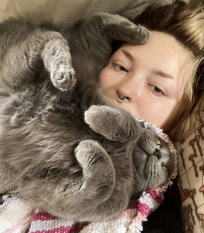 20 animais que se recusam a deixar seus seres humanos, mesmo que por um minuto 16 20 animais que se recusam a deixar seus seres humanos, mesmo que por um minuto 16